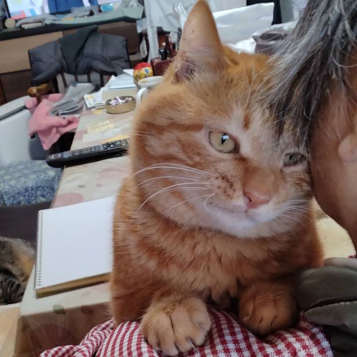 9360a6fa c134 4d07 9add aa4bca147644 1706671127524