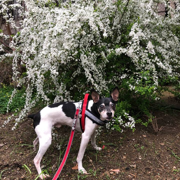 9360b954 613a 464a b0cc f19c15adb063 1553164765291