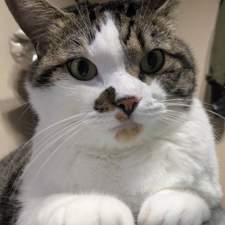 9360bea6 ee84 4738 92a3 a86d1a31e265 1755397660524