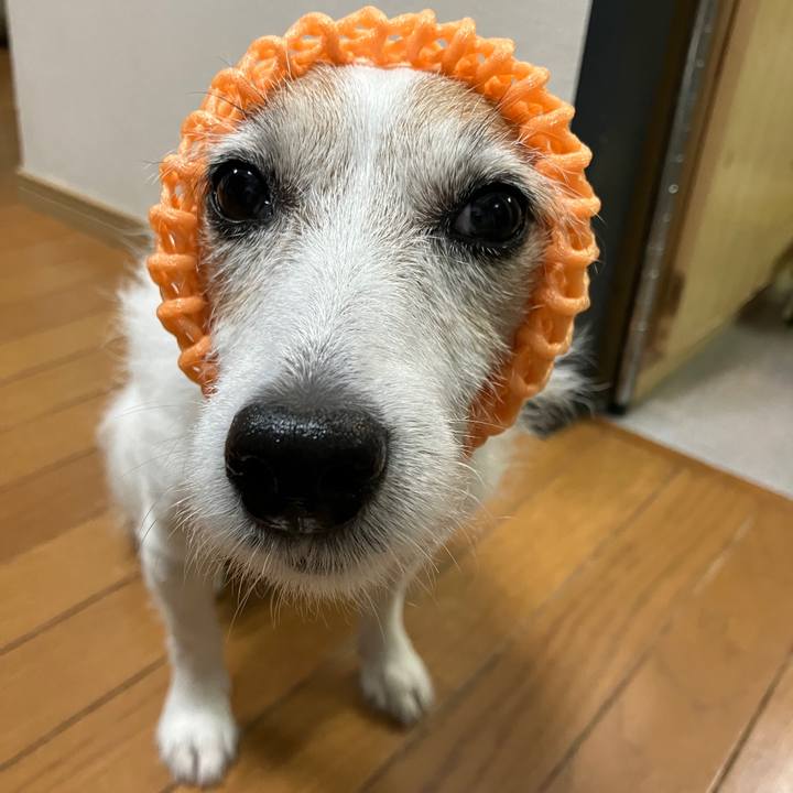 9360cb00 35c6 4c2e b1e2 4f55360846ff 1692660323515