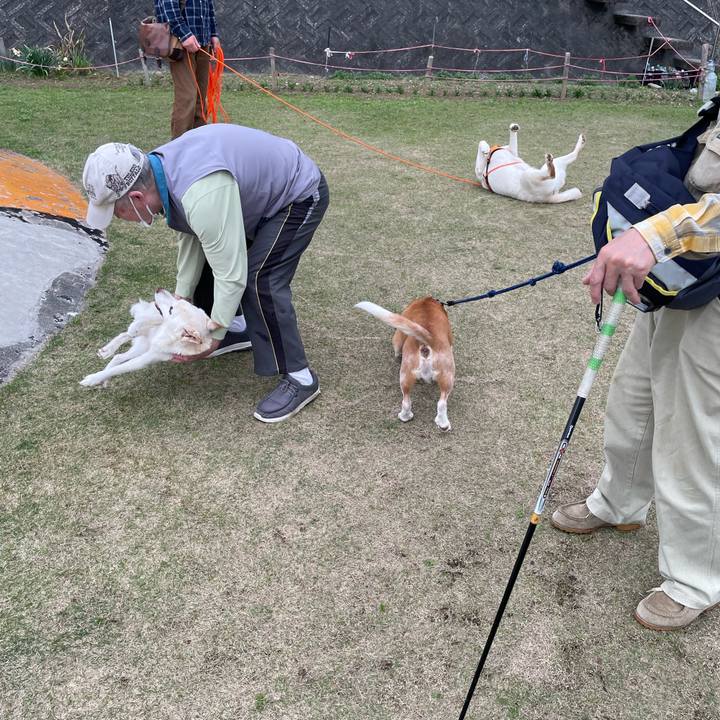 9360e8fd 5d20 4a28 8fef b598e076e636 1679652519419