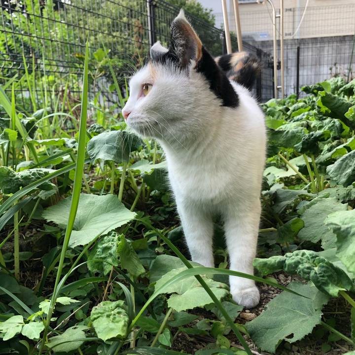 936113dd d89b 4c40 ac06 00d4228a9096 1604187752339