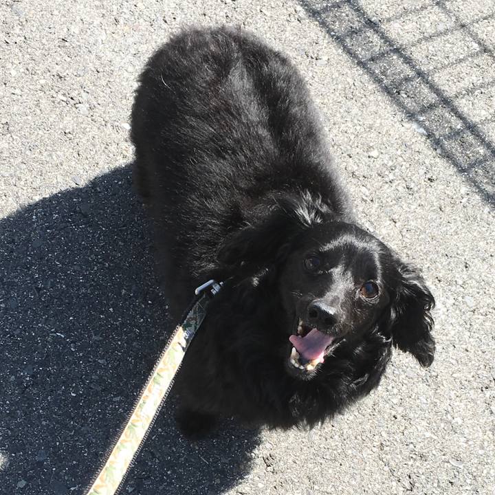 9361203d d915 4e5f 881b 8453a2da0d66 1620857050325