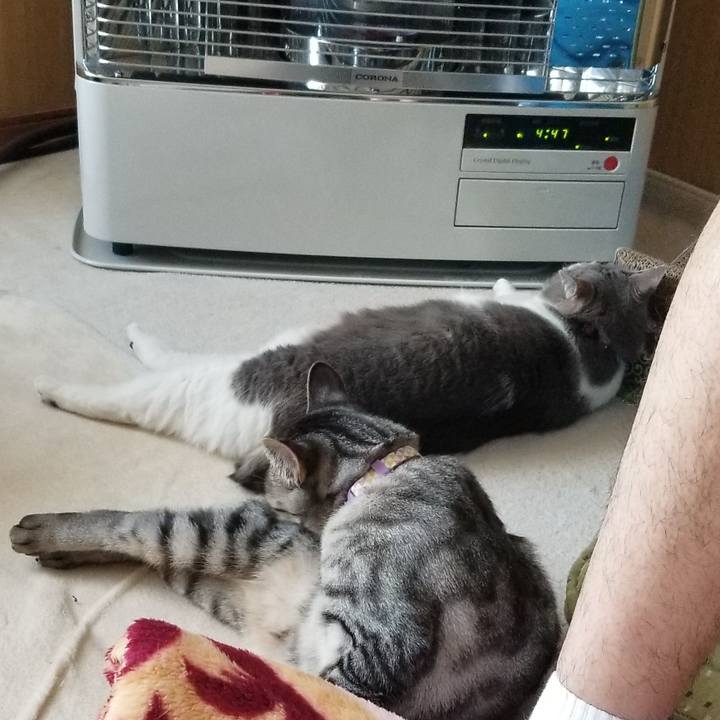 93613ae2 e60b 4bd5 be43 4eeb99b1f585 1684023888034