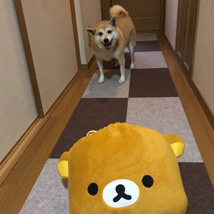 93614309 e5f3 4305 941c 9e37e076bfa6 1545648732377