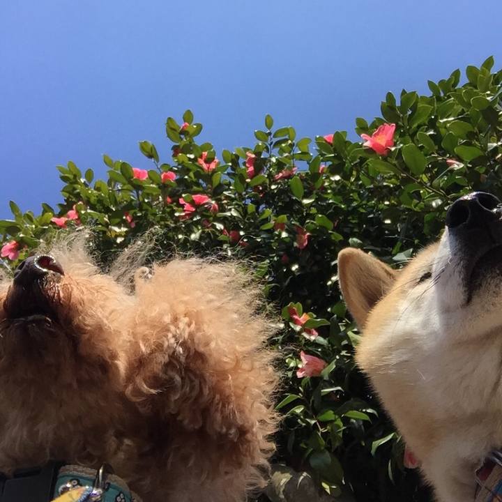 93615ea9 a214 48f4 b628 067fd19e63c1 1520670359657