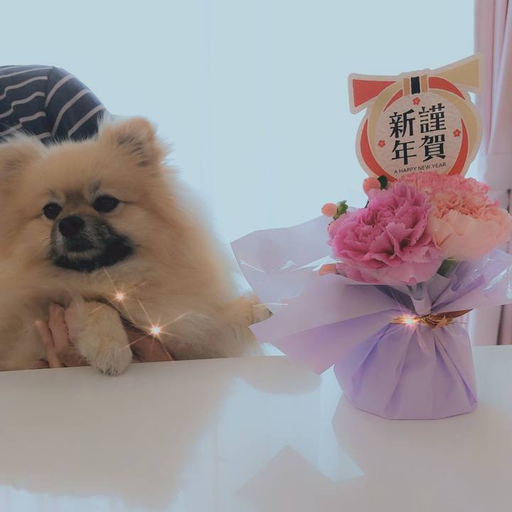 936170ca ed45 4d2a 8149 e301e713e34e 1672711181225