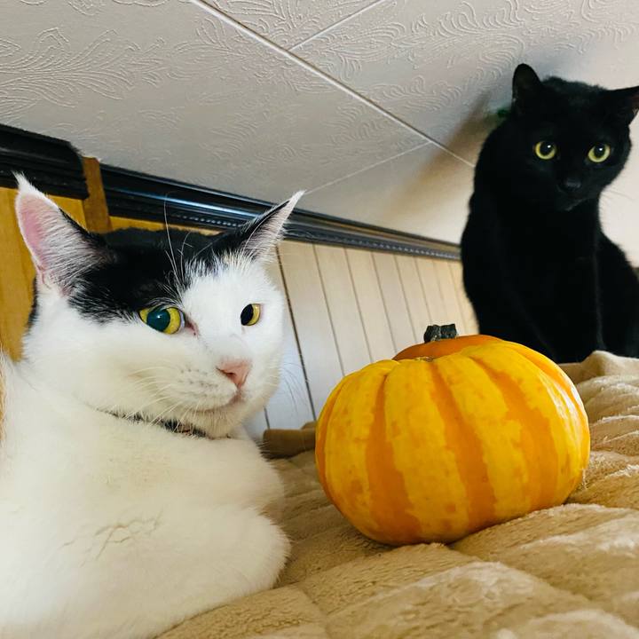 93619974 0fe6 4895 b4a0 eca7a570b923 1667218590716