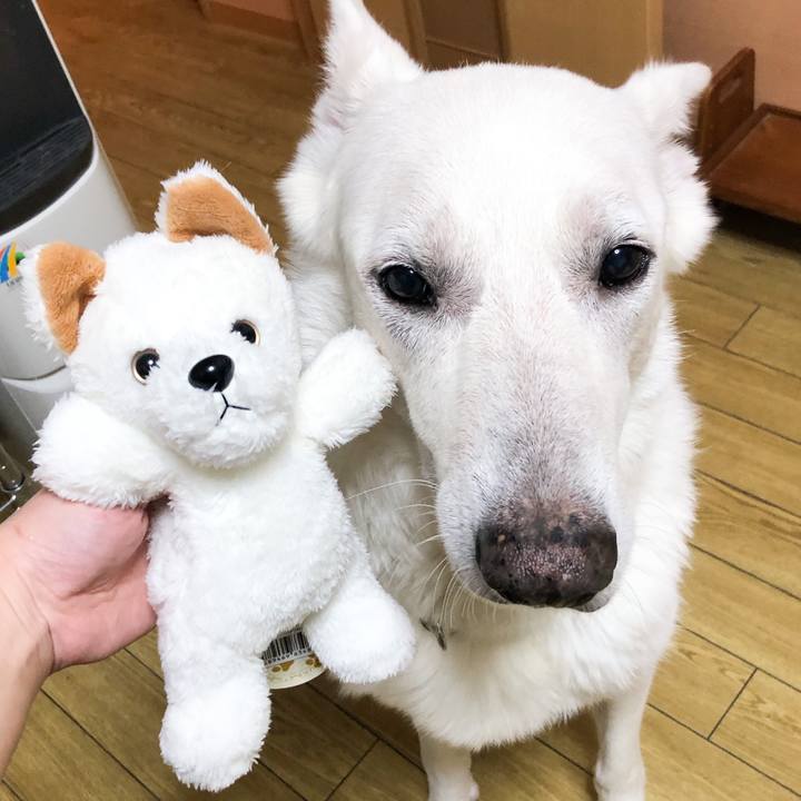 9361a289 bbf4 40e2 9a3f 26cbda44a8b0 1572180532718