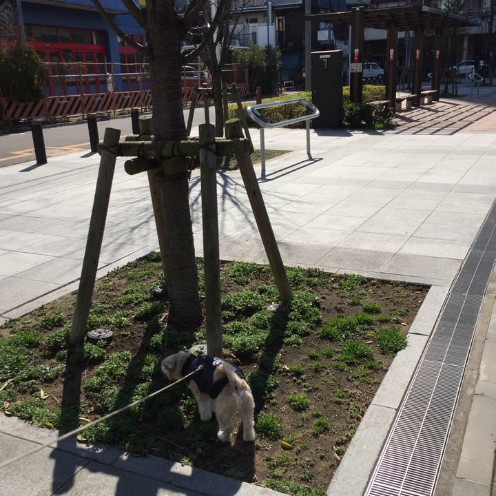 9361c2ad a4b0 46ff 92a2 4d3718260c93 1552114081449