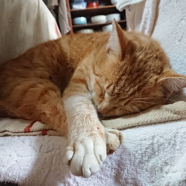 9361fec5 0333 43a6 99f7 61869873c1b5 1587277988812