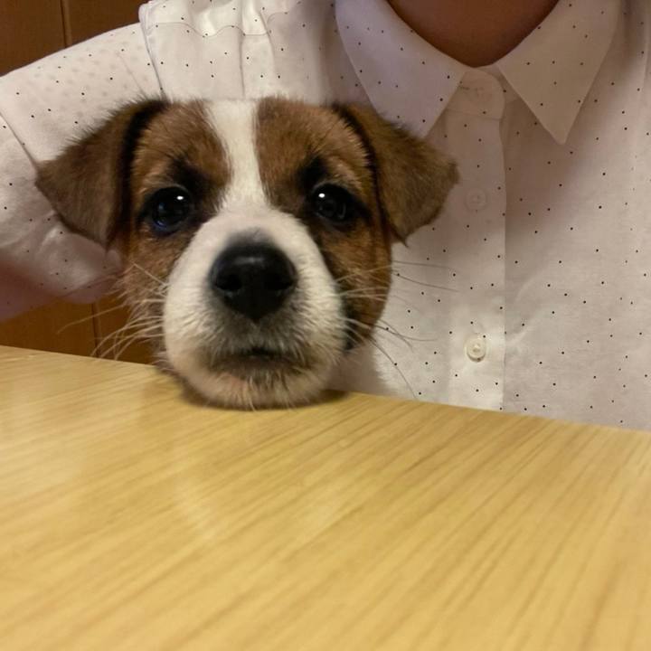 93620291 b05e 4e02 9f5a 6dd9614ebc44 1615982068338