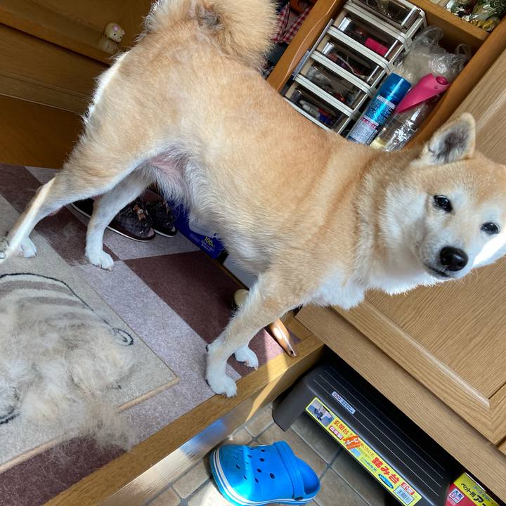 936232b1 4449 4d66 b6bc 1601d2295ac0 1612344938227