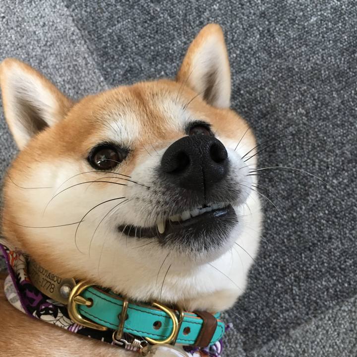 93626037 e01d 47ec b85e 5e0a0c062df4 1573108054572