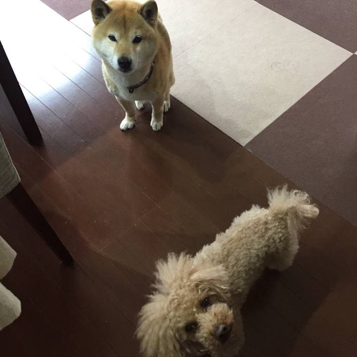 9362c2d7 5d6b 4dc3 b98e 00d0330dd7d1 1521604000967