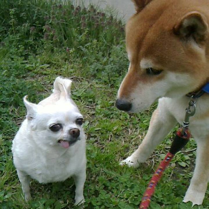 936306b6 a8e9 4f65 80d4 81eaaed60949 1523442944797