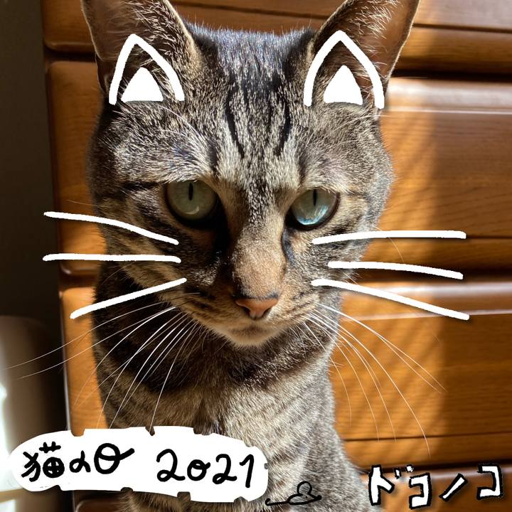 9363099f 05f2 423b 9faa fdb980b2620f 1613967627393