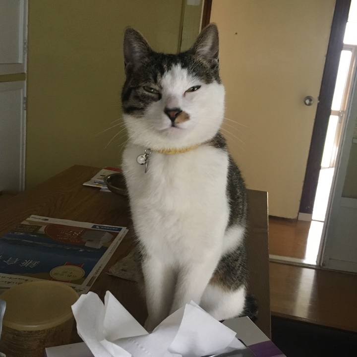 93633393 48fe 4b32 84dd 915a2d2de9b9 1521890922445