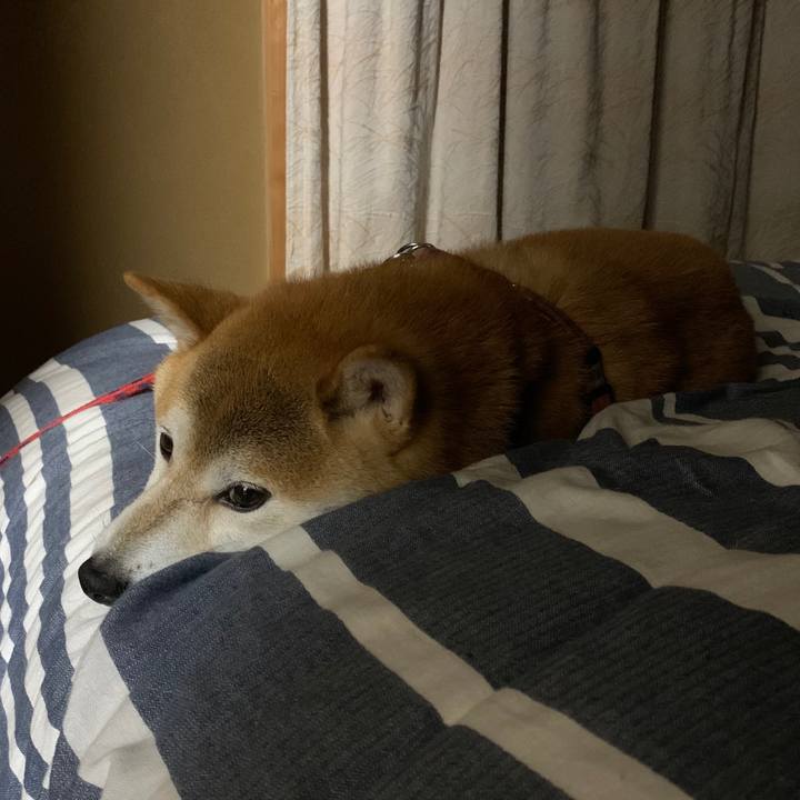 93633a25 5496 4d53 bc9d e195aa613daa 1573301966000