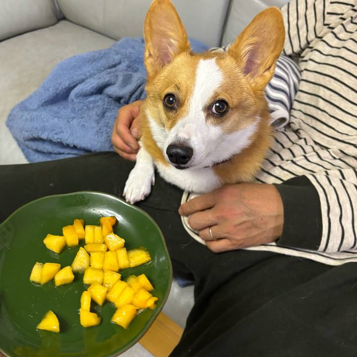 93637208 d763 4f5e bead b524b15d2460 1762298309212