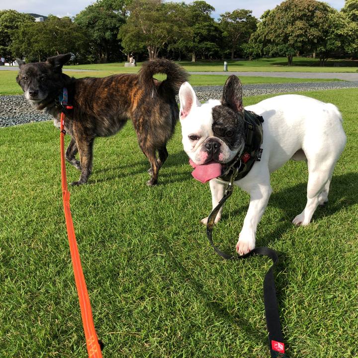 93637cab f5a5 4d22 a5b6 b70655fe3a7f 1567511635905