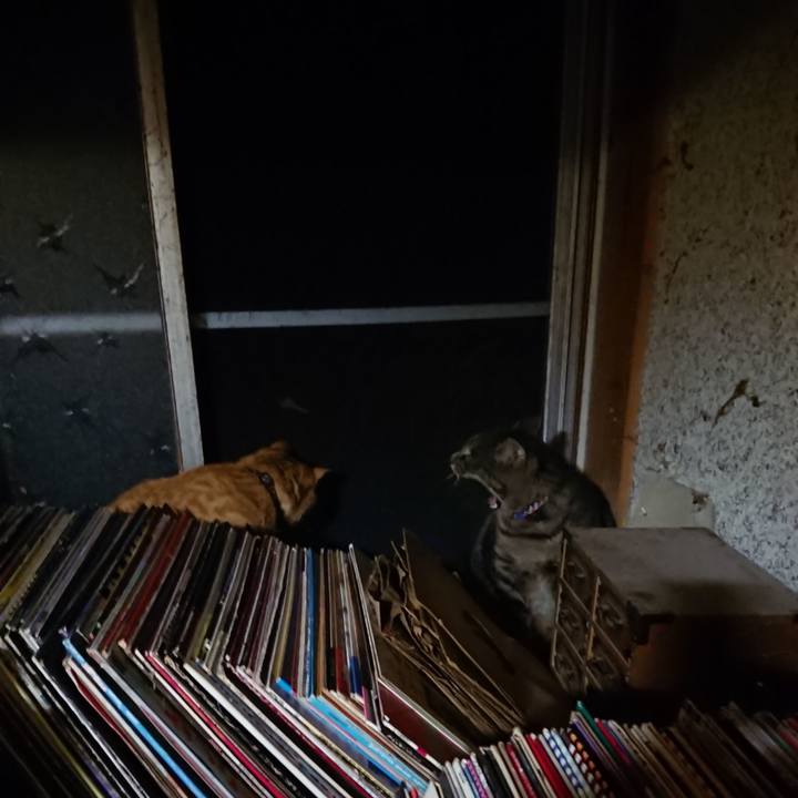 9364448d 18fc 4c8f a847 ba78df0c7f35 1656253933511