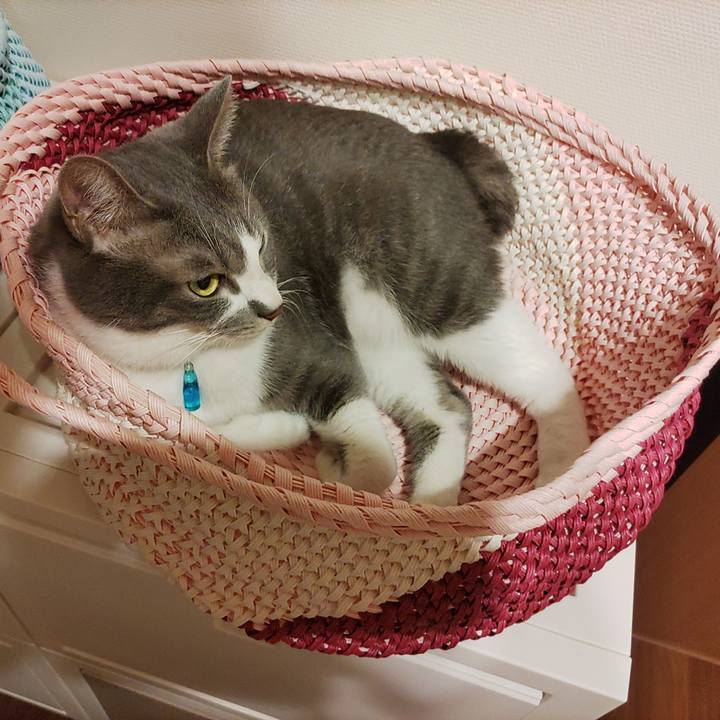 936487ac 346a 45c7 b65e 57acd376f8e4 1659444577838