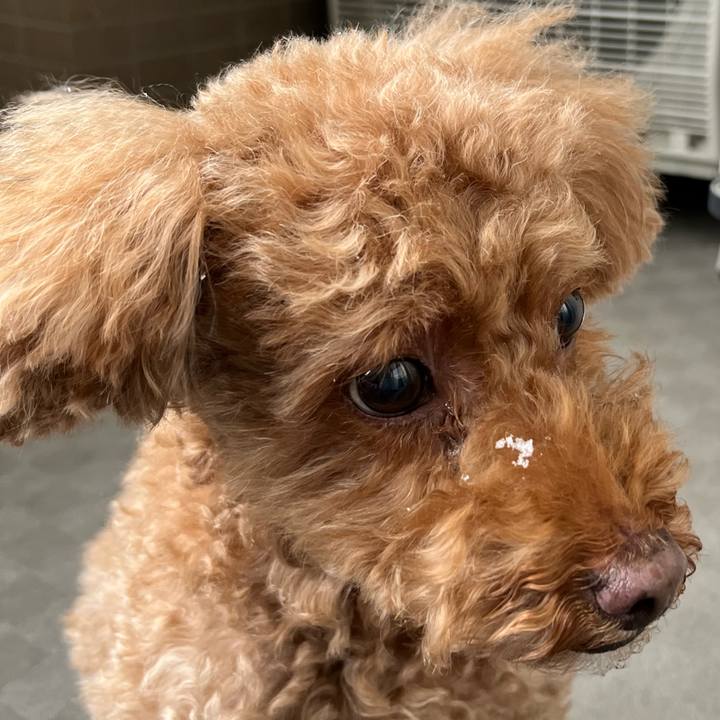 9364b990 ead3 4d5f 9a32 0e2e93165218 1706072922299