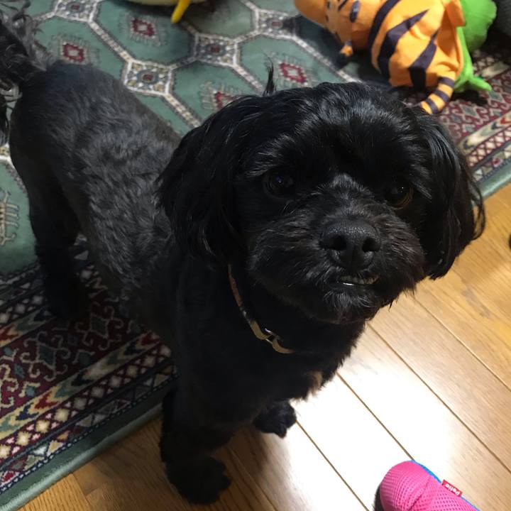 9364c02a c377 4a91 9bf1 2467d3a3c16e 1558358734629