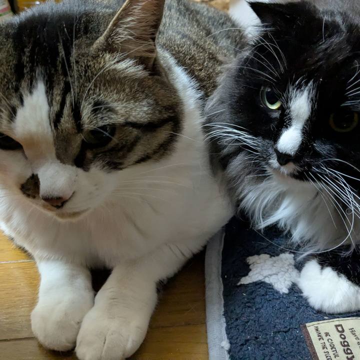 9364f949 f8f2 4633 aa71 d23ecb62374b 1772319509598