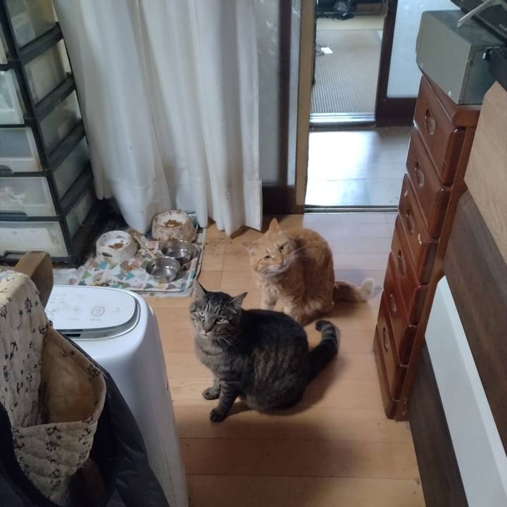 9364fa05 b6d5 4ccf 841e f581723a02b5 1688893571341