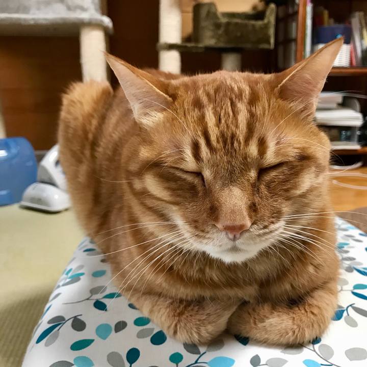 936514a2 82b3 4ec5 b7d7 bd726a13dbdf 1524288664146