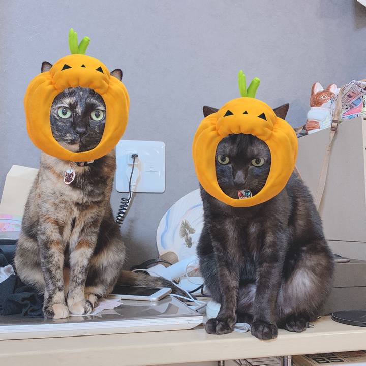 93655307 36f8 4fd0 8b1e 4de610d9842f 1572532719722