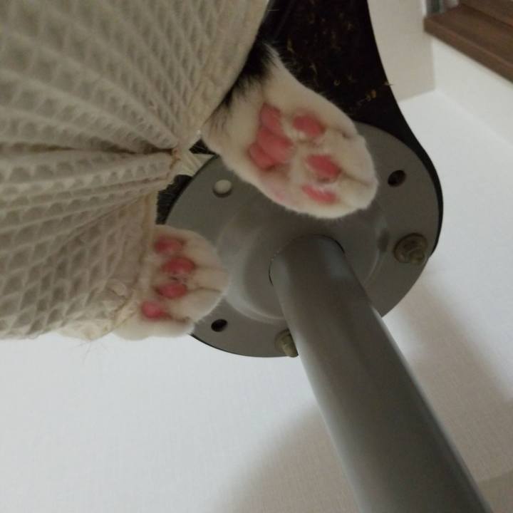 9365a3cb e721 4a5f ab7c 5186fc224b72 1586782749301