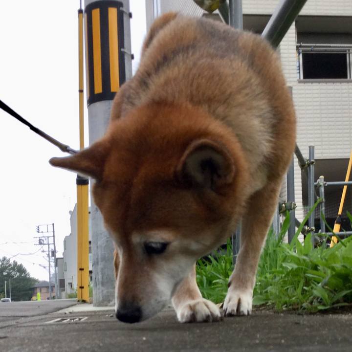 9365f217 eec4 4757 b3b6 1db8334ce2ad 1631325678804