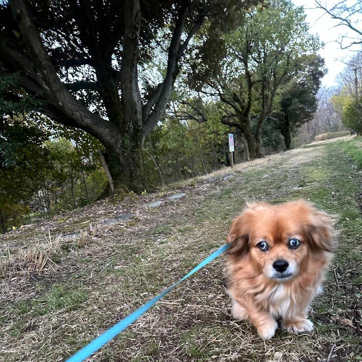 9365fc9a dc69 4d75 9393 734a2089b3fb 1710797044588