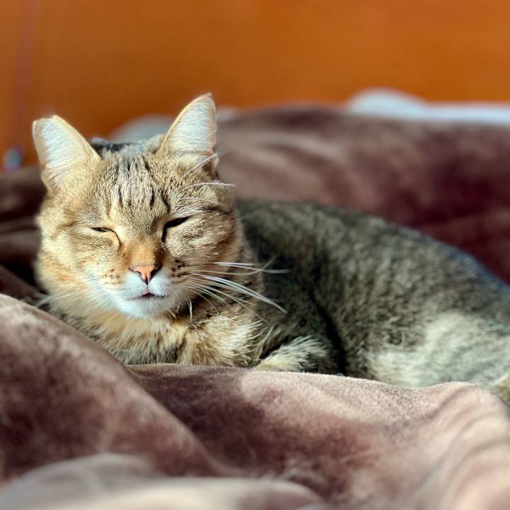 936612c0 b25e 4e96 b04f 40797df1fe2d 1765030204734