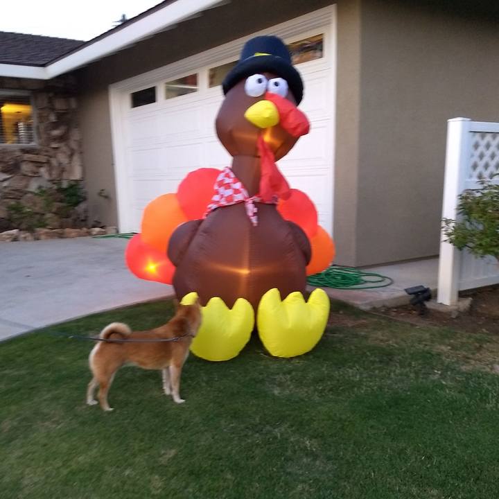 93661f48 8aa9 4849 9893 e8fe22d359b0 1510537334881