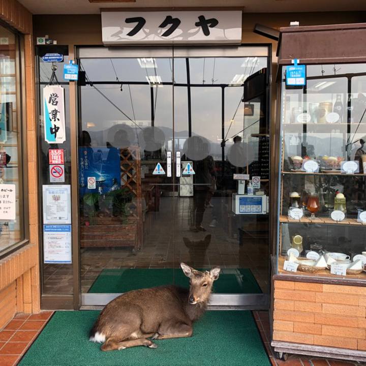 936620cc 92d1 4baf b06f e52f5b9257c7 1607756607834