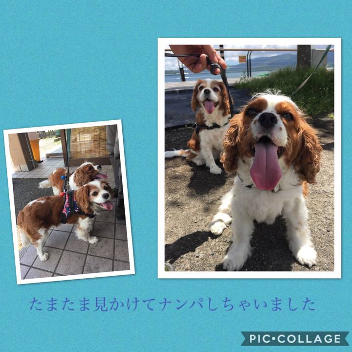 93666c74 5a78 4bfa b16d c6ff45ef2be3 1531206628062