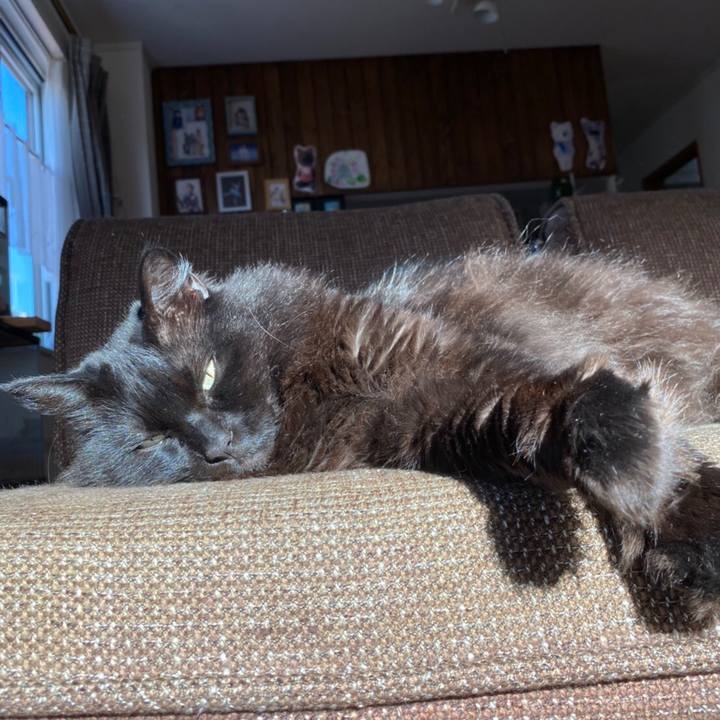 93667fc0 5dd6 4bb8 9ce8 f687209b95bb 1587076242559