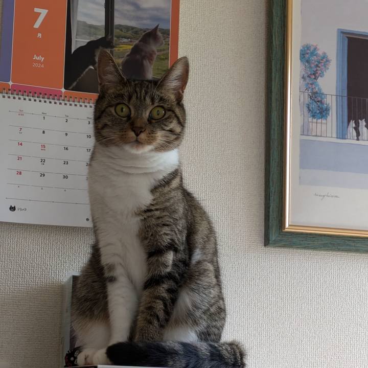 9366f1cc aaa1 443d bb20 ba7a464bee9f 1720326103533