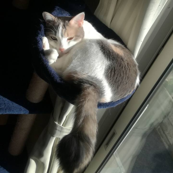 93671d3c aa93 4031 bea1 04a559e0fced 1550967860888