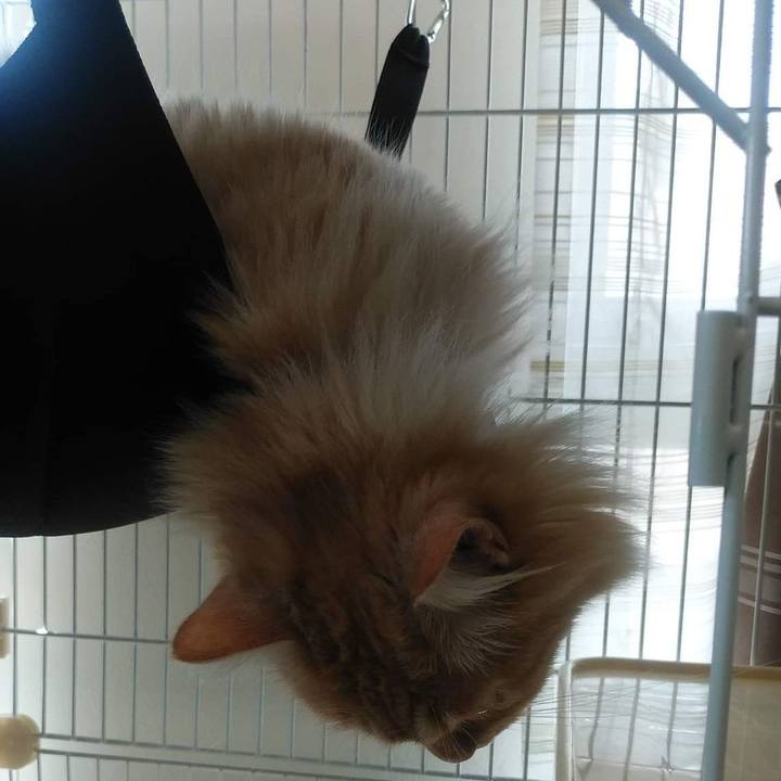 936748e3 4d34 459e b67d 07ed44596d57 1649815365447