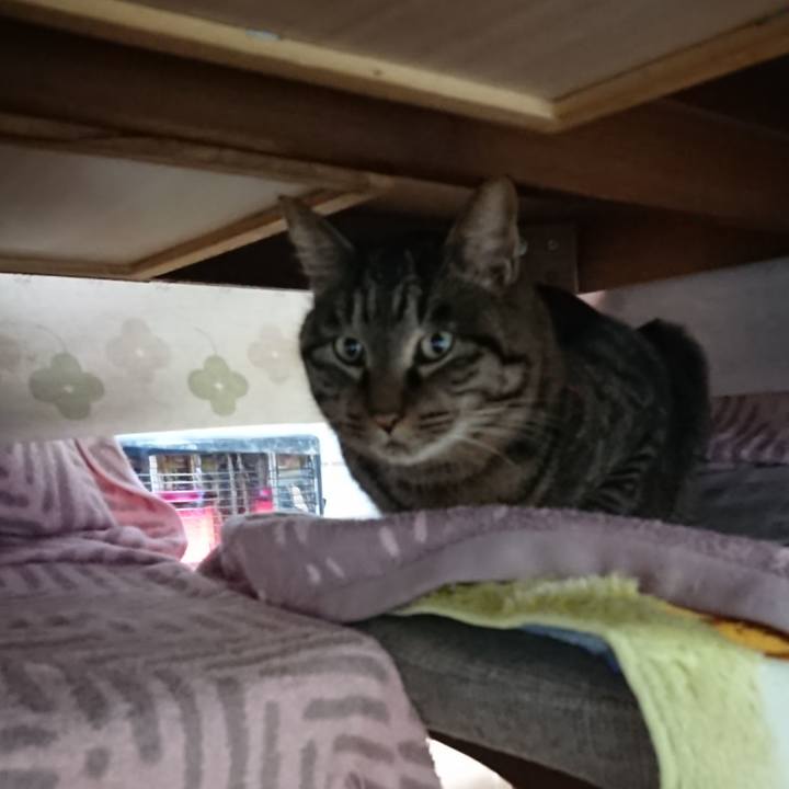 936752e5 65a7 4b8b 972e be1142d12b2b 1641415495054