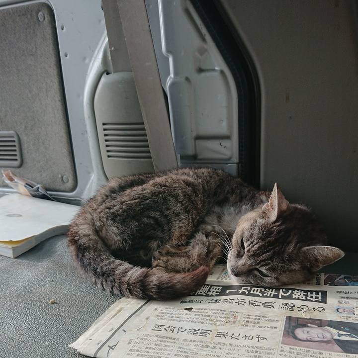 93675f82 bf0b 4f01 a5ae 99b6d0f83eb0 1596233693036