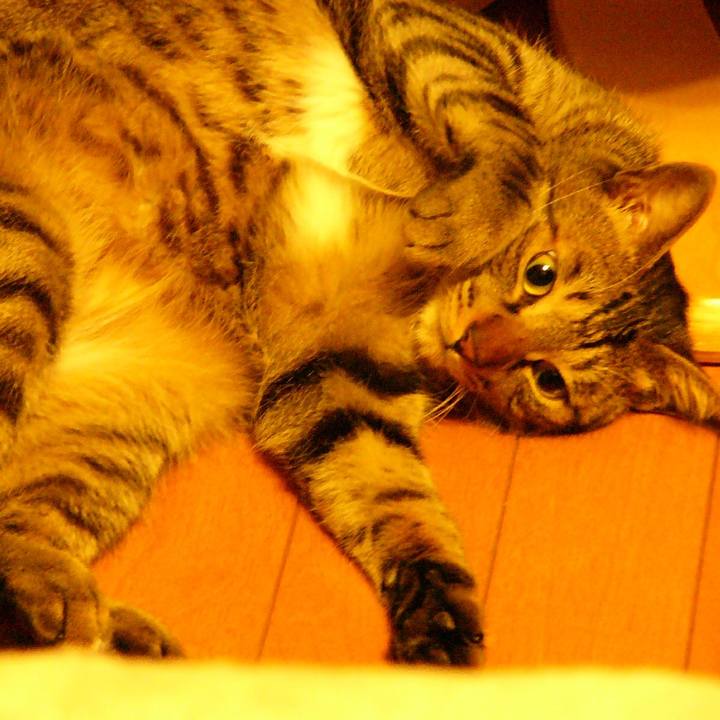 93676b48 9f01 4179 b00d b19628451d59 1580277698167