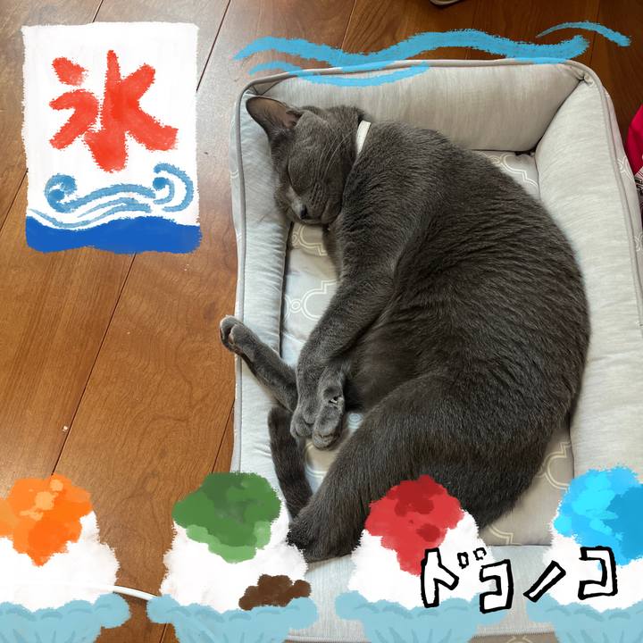 93677cb3 9a53 4d36 a8fe aa6fca27ef22 1723600068307