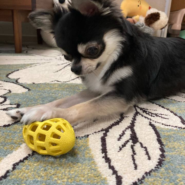 9367874b 95d9 4d3a a5a6 39fb5c6eae6f 1626558774186