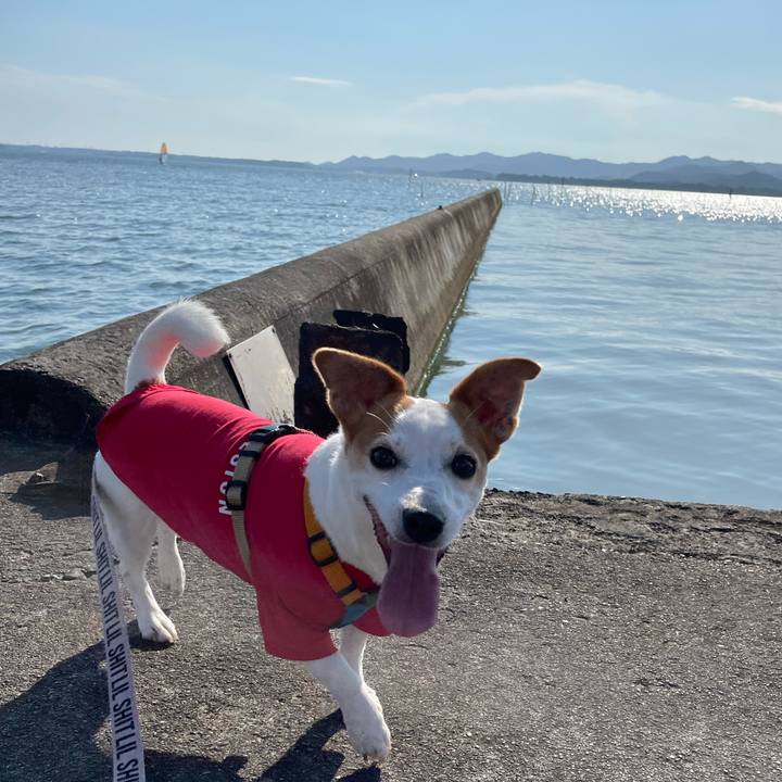 93679af8 153b 451d 9f8d 543bcfc154ef 1653481327157